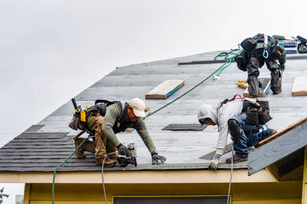 Professional Gutter Installation technician working in Mount Vernon, GA